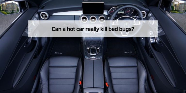 Can a hot car really kill bed bugs