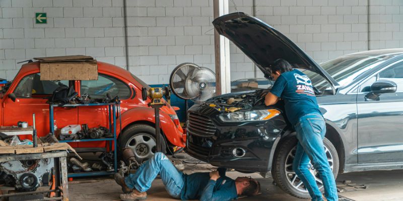 Comparison of Rodent Deterrent Methods