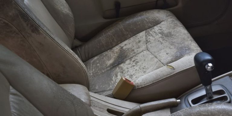 How to Get Rid of Mold on Car Upholstery