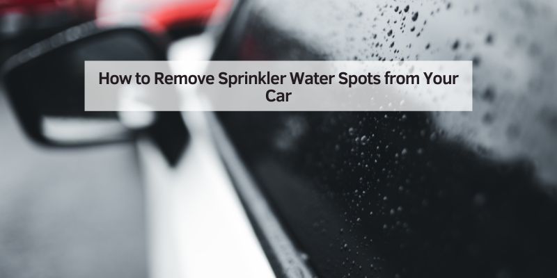How to Remove Sprinkler Water Spots from Your Car