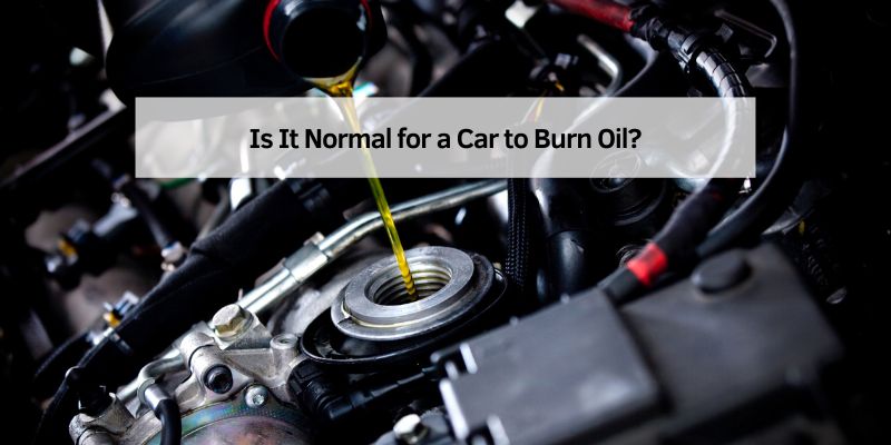 Is It Normal for a Car to Burn Oil