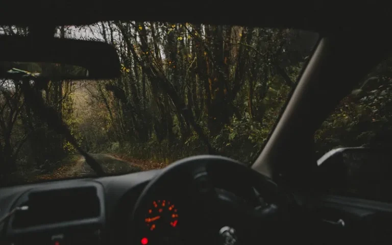 Dark car interior with small red dashboard lights glowing, seen through the windshield on a forest road