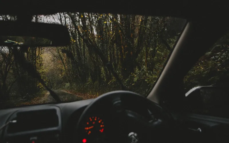 Dark car interior with small red dashboard lights glowing, seen through the windshield on a forest road