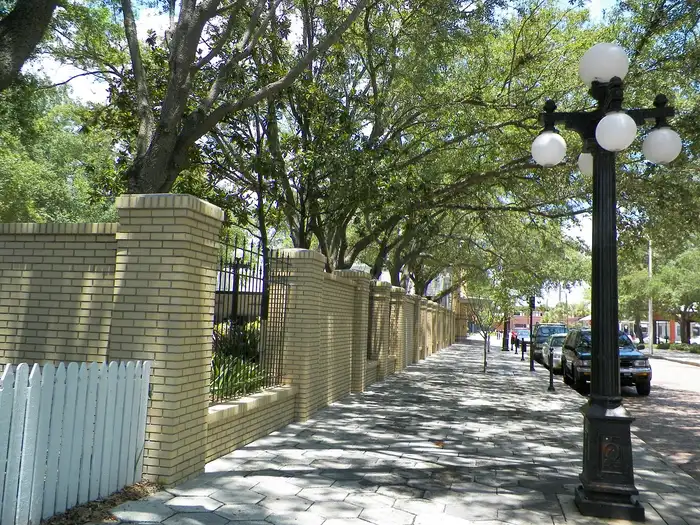 Tree-lined street with shade over the sidewalk and cars parked along the curb