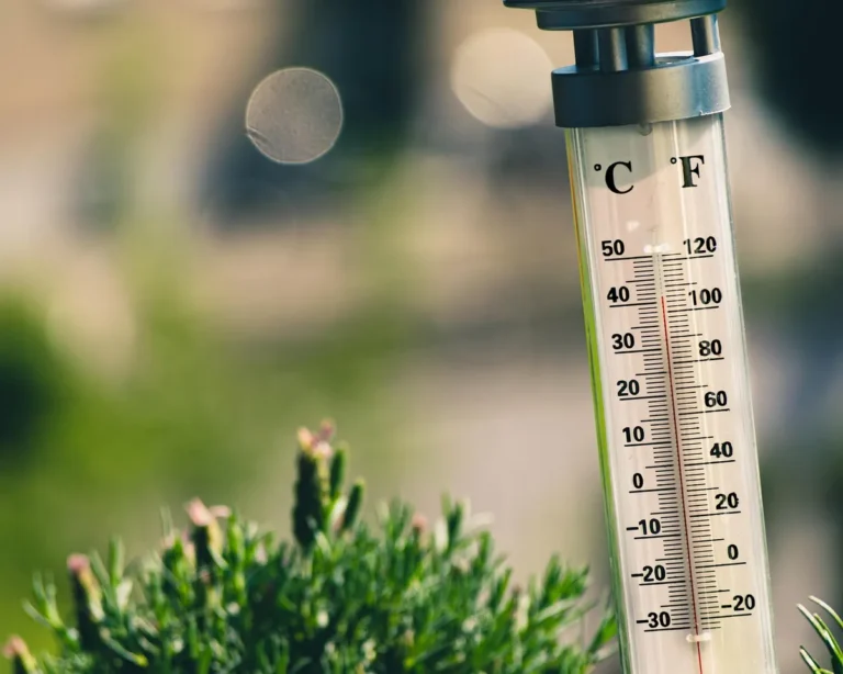 Outdoor thermometer with Celsius and Fahrenheit scales in warm summer light