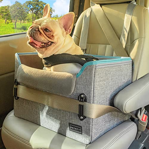 Safety Car Seats for Dogs
