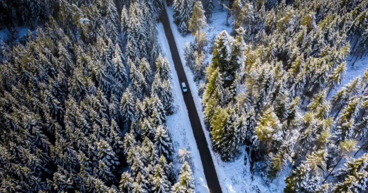 Aerial view of a road cutting through a snow-covered forest