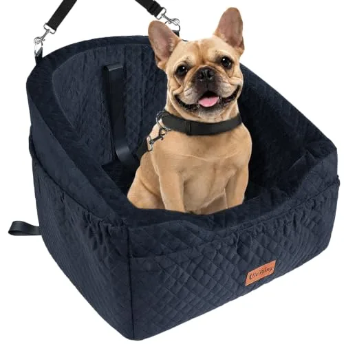 Vivifying black dog car booster seat with a corgi sitting inside wearing a collar and leash clip