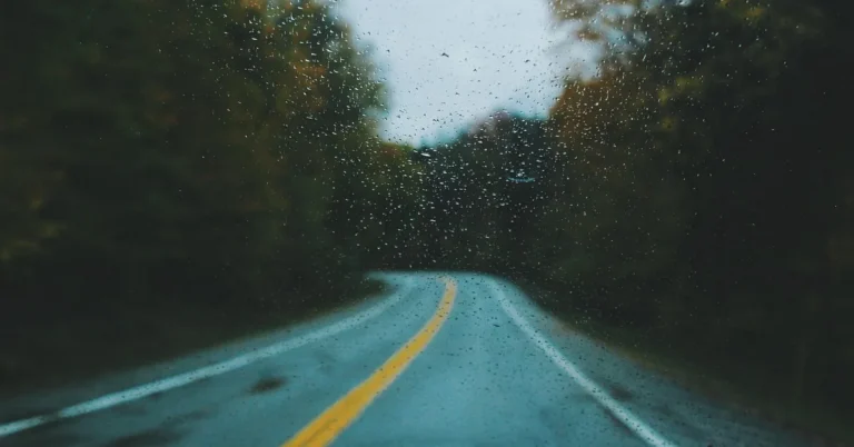 Wet two-lane road curving through trees, seen through a rain-spotted windshield