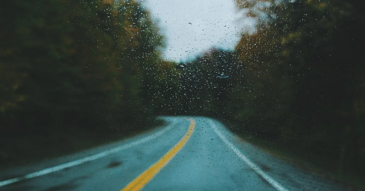 Wet two-lane road curving through trees, seen through a rain-spotted windshield