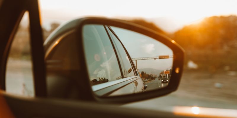 How To Stop Birds Attacking Car Mirrors