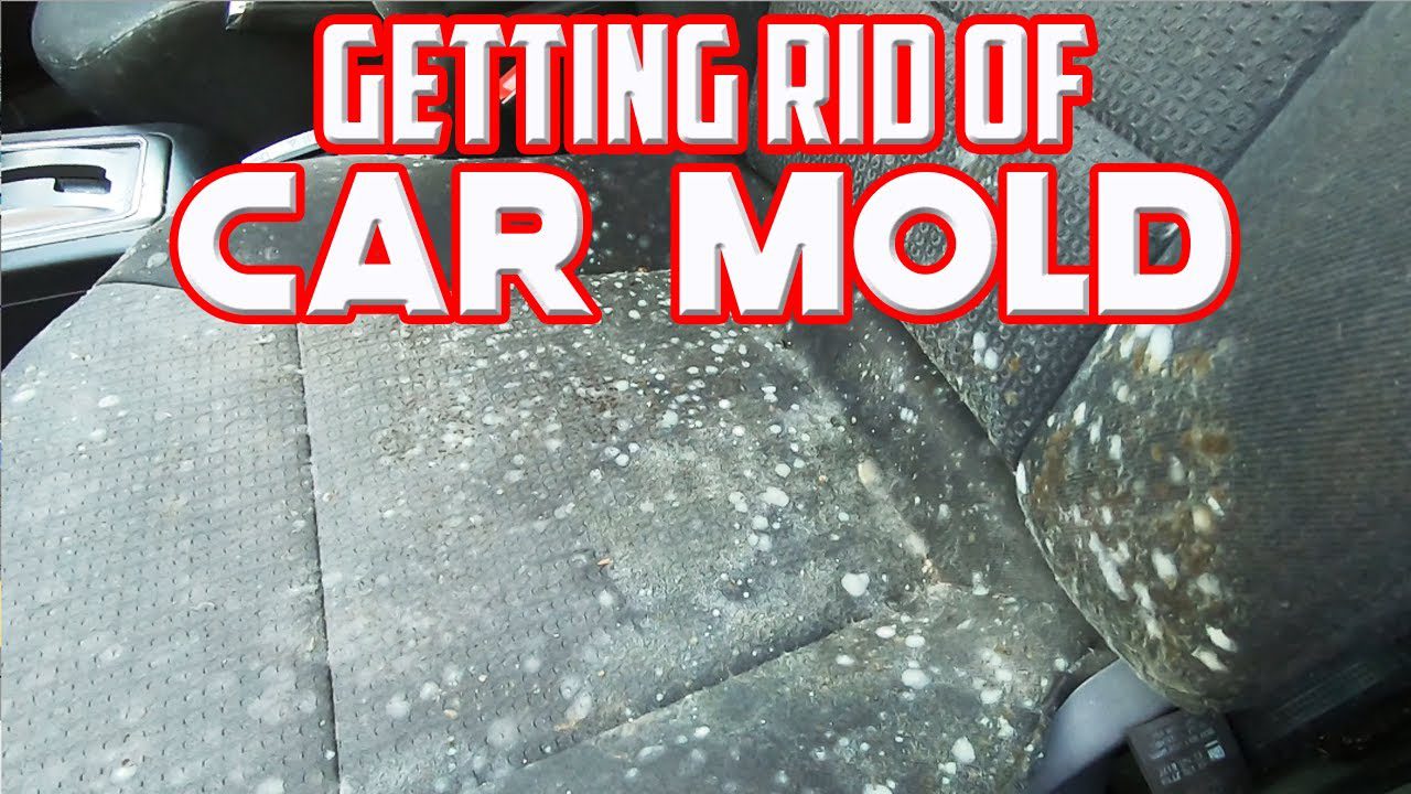 How to Kill Mold in Car