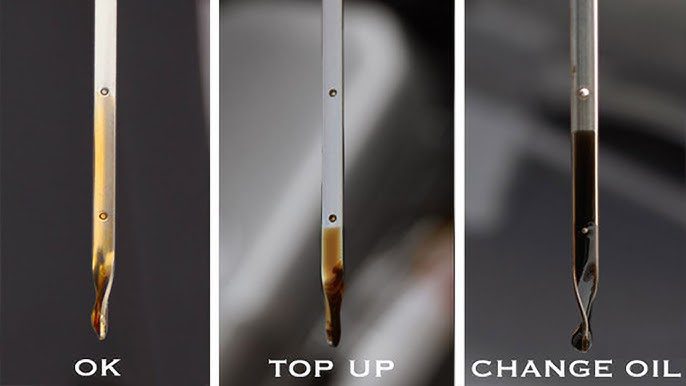 How to Know If Your Car is Low on Oil