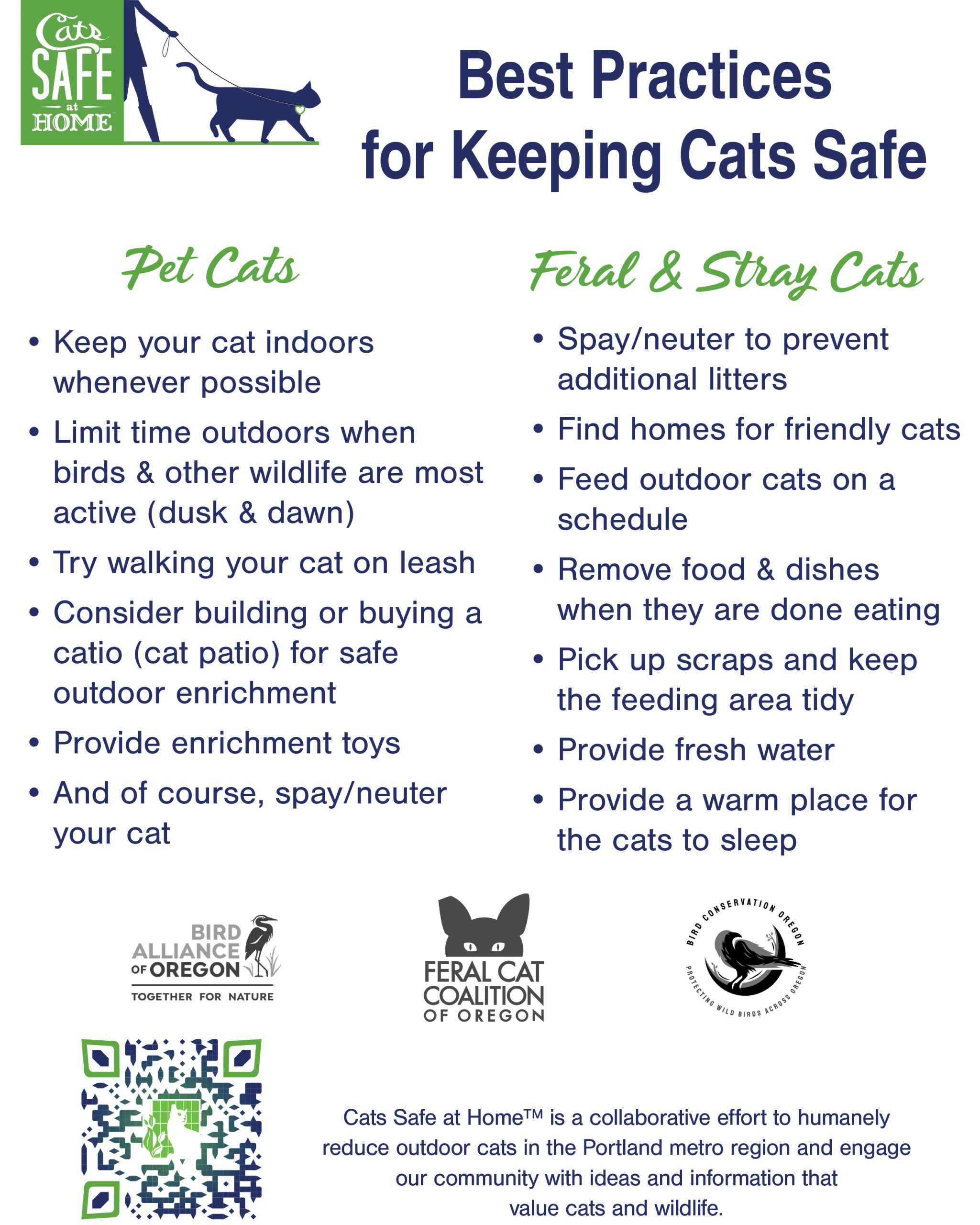 How to Take Care of a Stray Cat