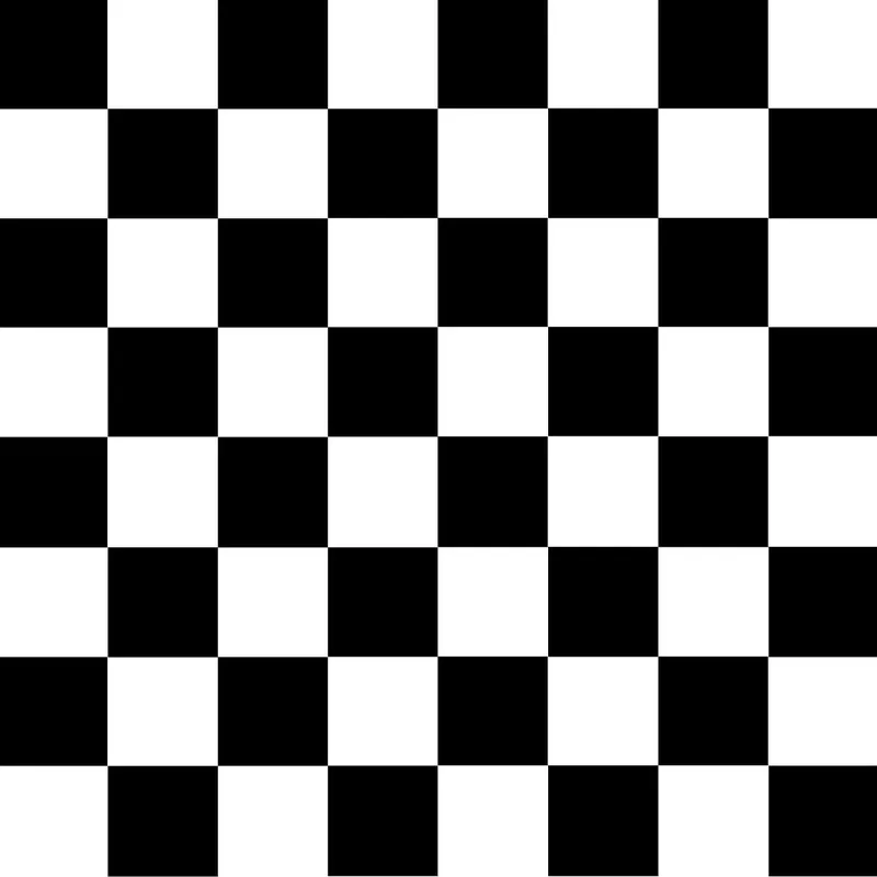 Black and white checkered pattern like a racing checkered flag