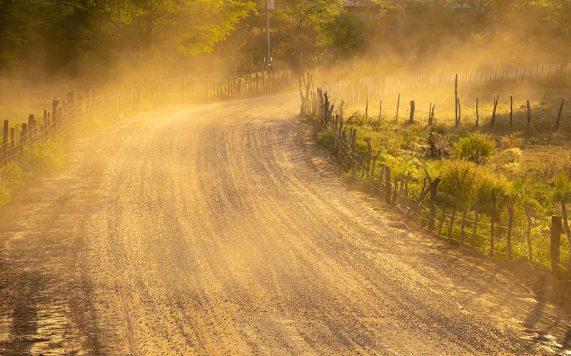 Dust hanging over an unpaved country road in golden light Dust hanging over an unpaved country road in golden light