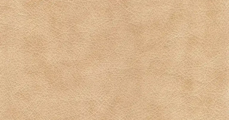 Close-up of tan leather grain texture
