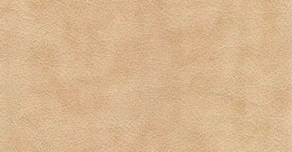 Close-up of tan leather grain texture