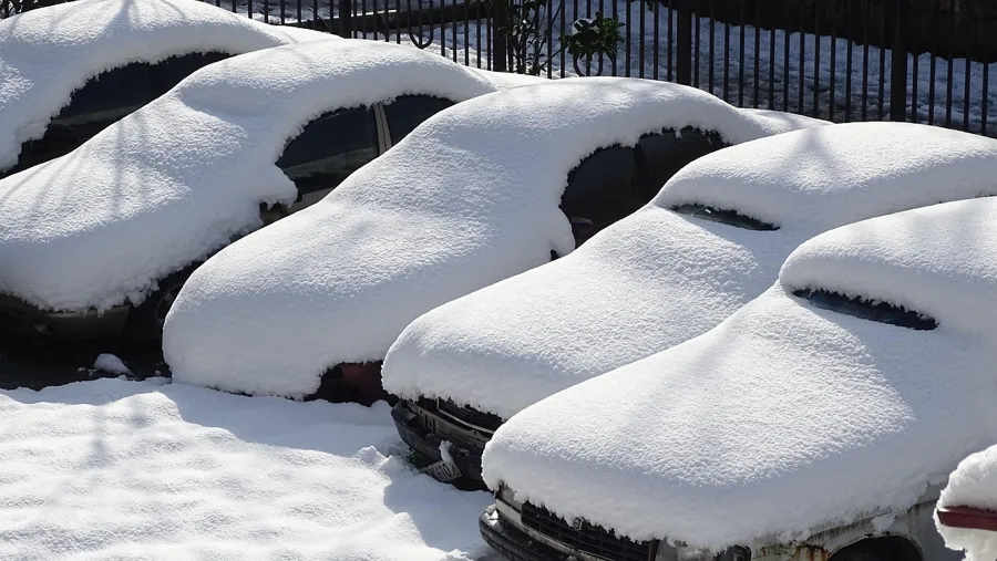 Snow-covered cars parked in a row in winter