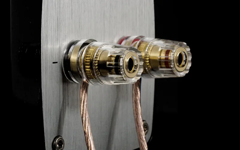 Two-conductor speaker cable clamped into gold binding posts on a speaker