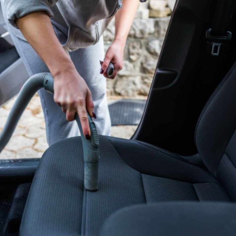 Can Fleas Survive in a Hot Car