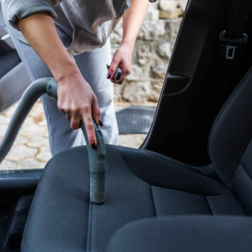 Can Fleas Survive in a Hot Car