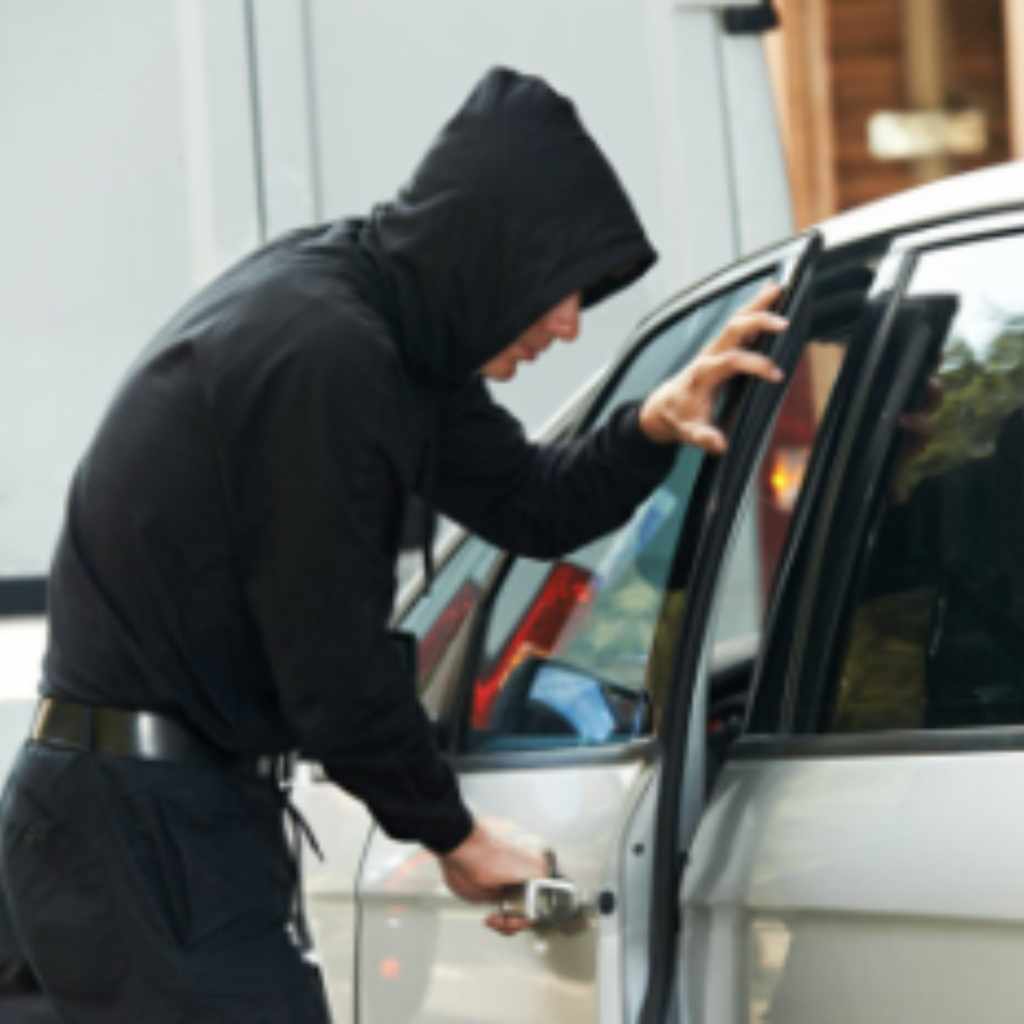 The Role of Law Enforcement Databases