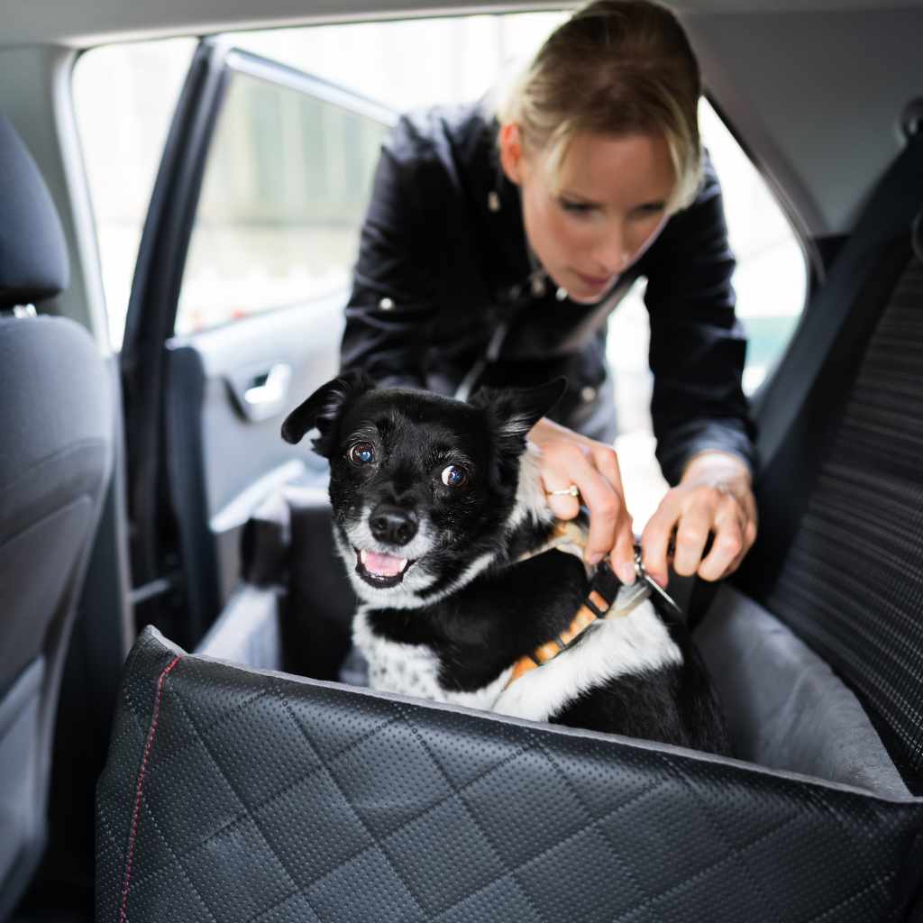 Choosing the Right Vehicle