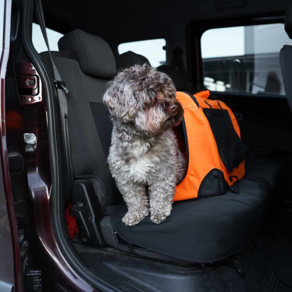 Making it a Positive Experience