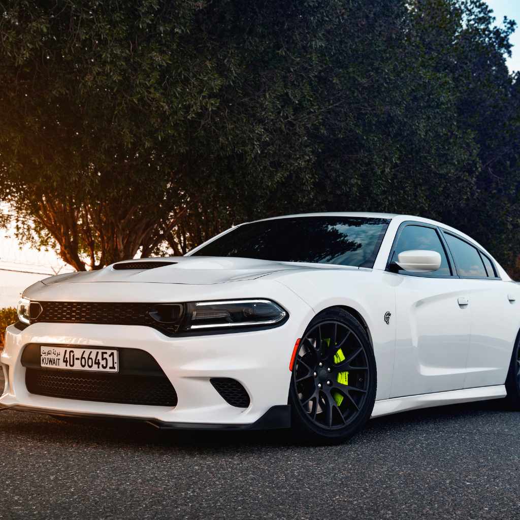 Advantages of a White Vehicle