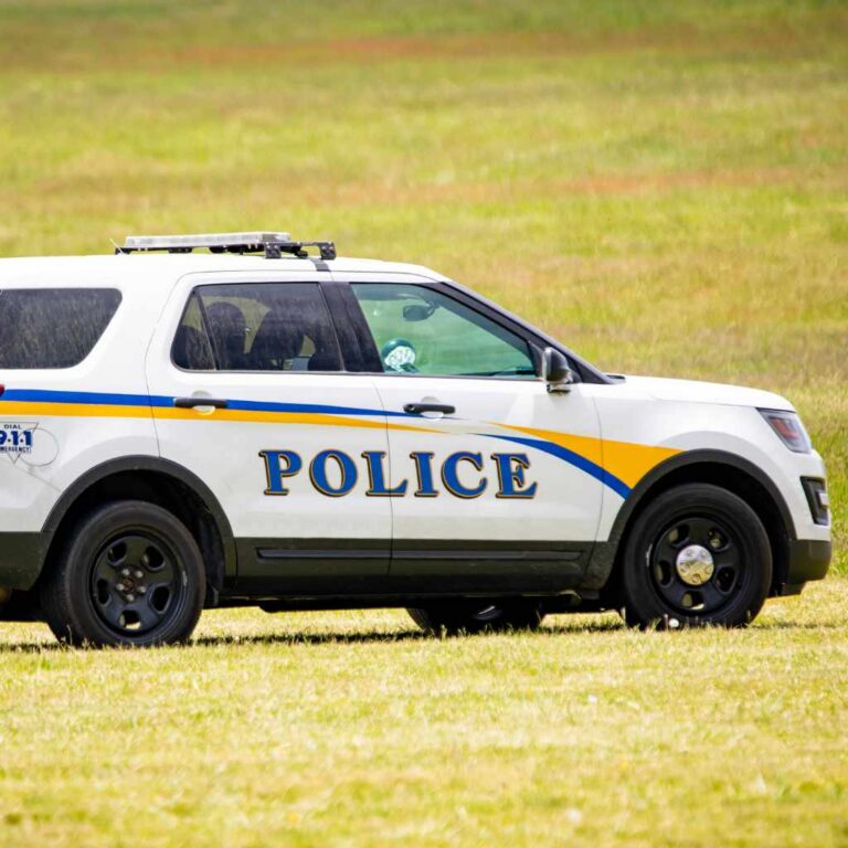 What Happens When Police Find Stolen Cars