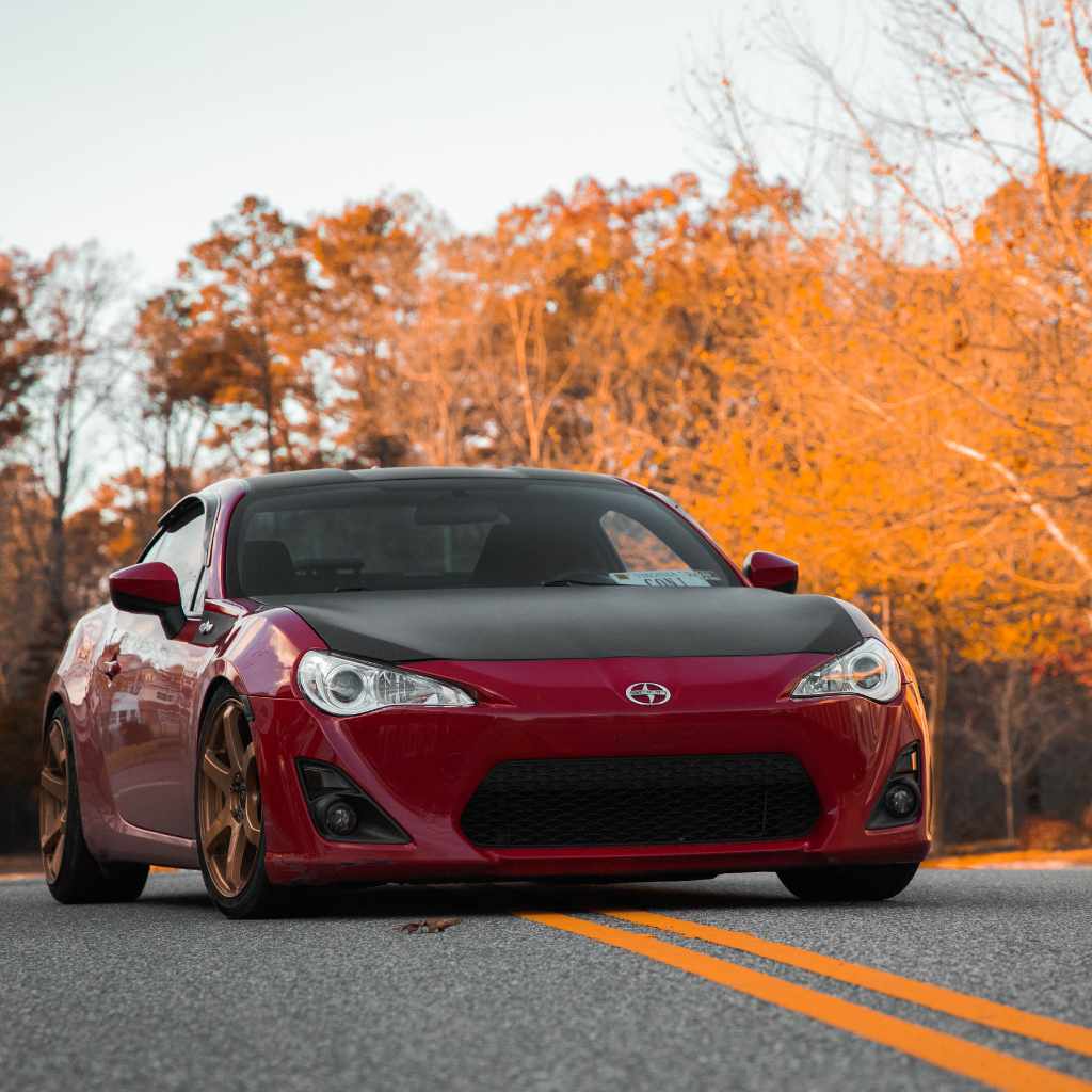 Fan Theories And Popular Beliefs