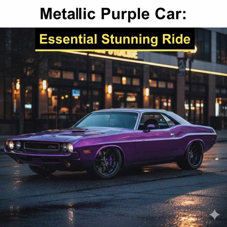 Metallic Purple Car
