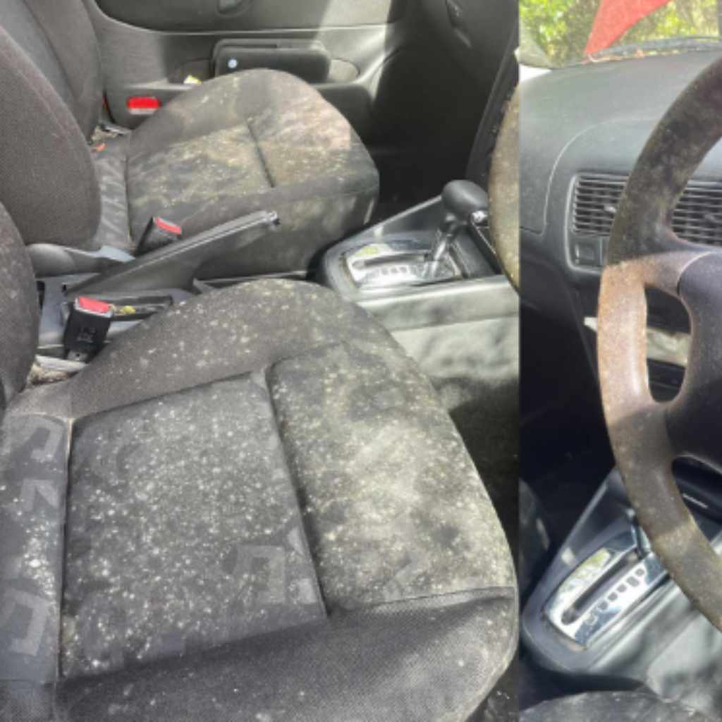 Is There Mold in Your Car