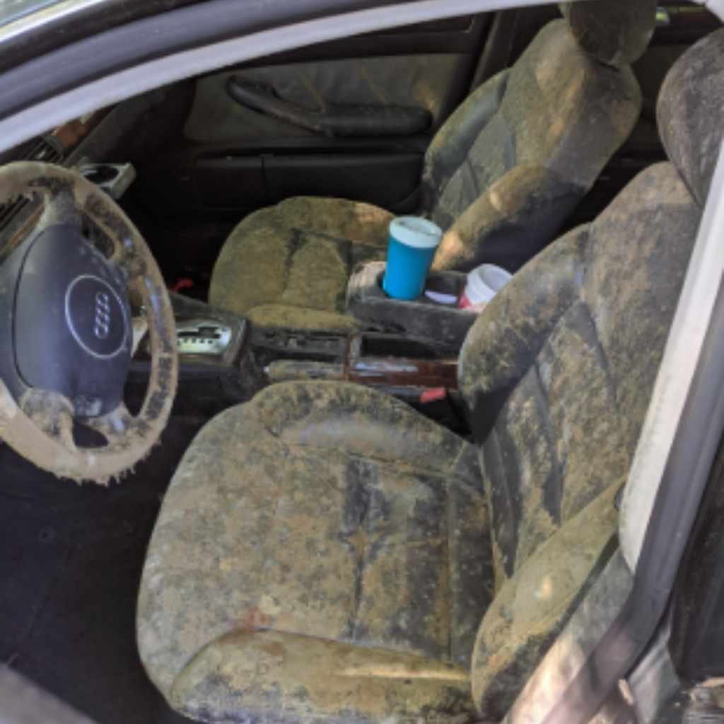 Preventing Future Mold Problems