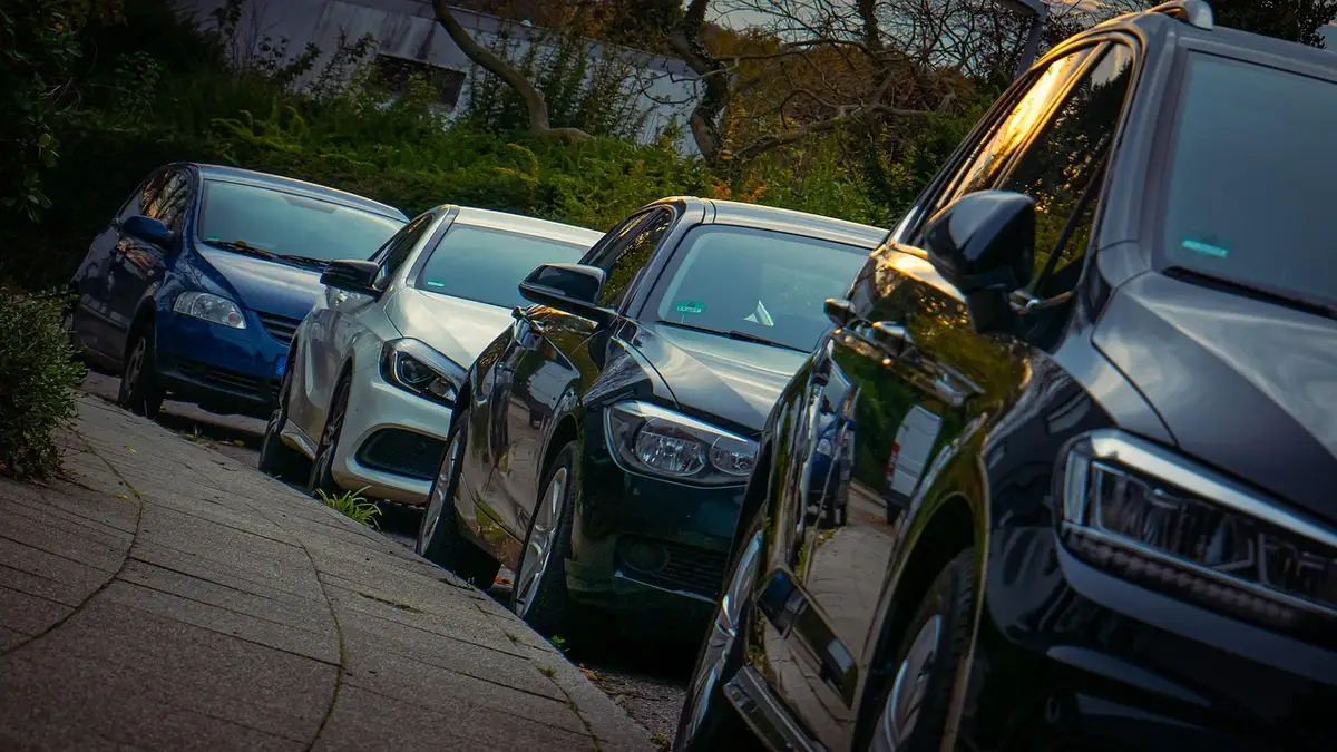 Row of parked cars along a tree-lined street curb in late afternoon light