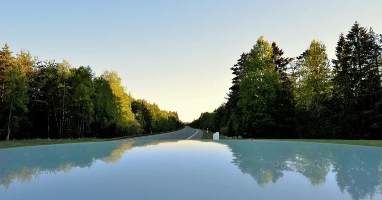 Smooth glossy car roof reflecting a road and trees