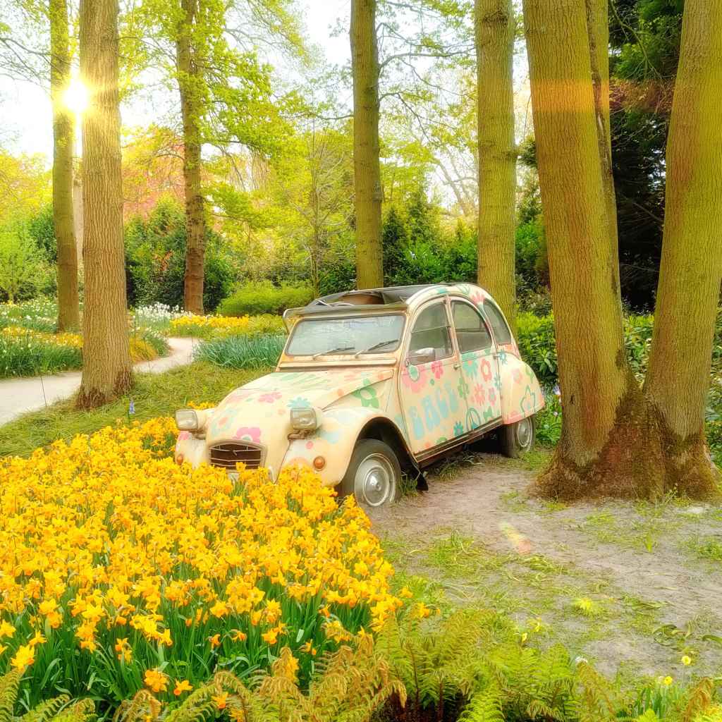 Citroen C7 Loud Noise After Turning Off