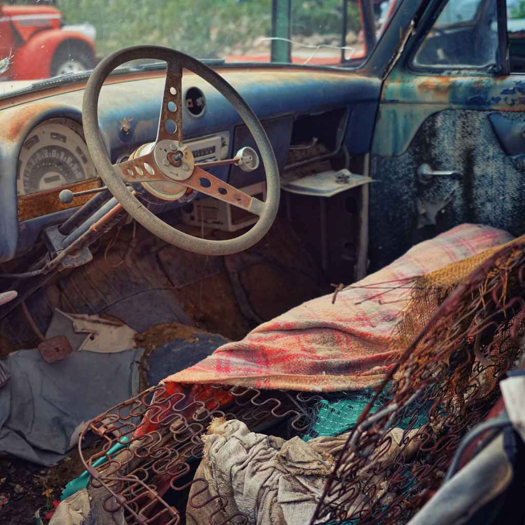 Advanced Mould Remediation Techniques