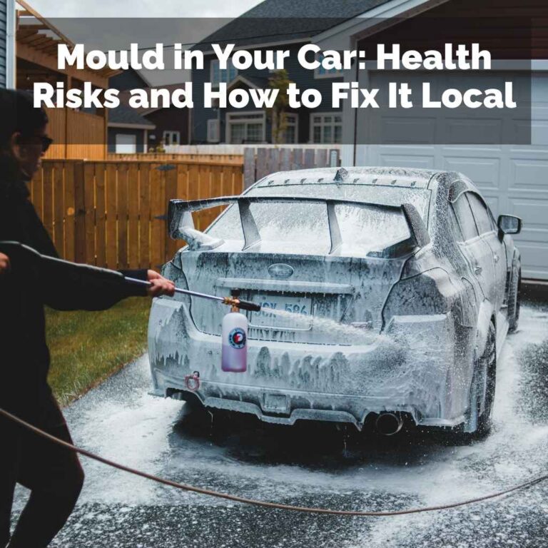 Mould in Your Car