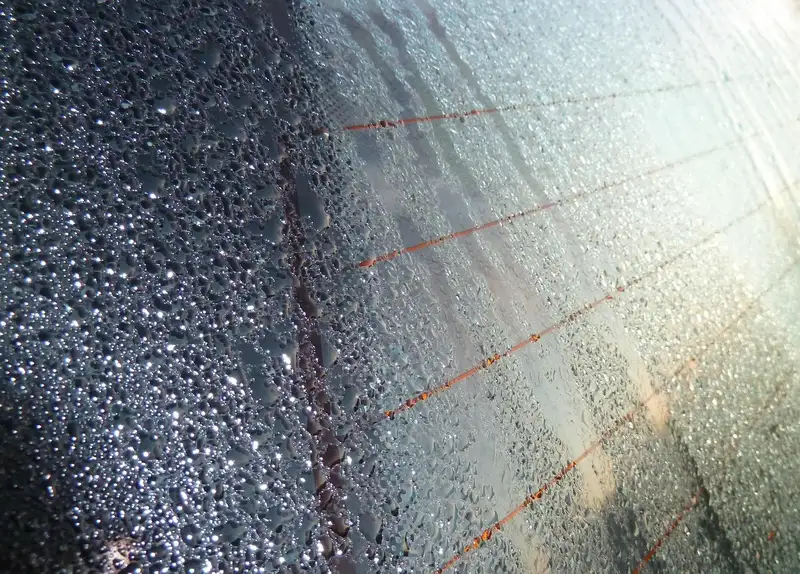 Rear window with defogger grid lines covered in condensation droplets