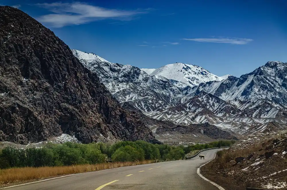 A paved road with a yellow center line curving toward snow-capped mountains under a blue sky