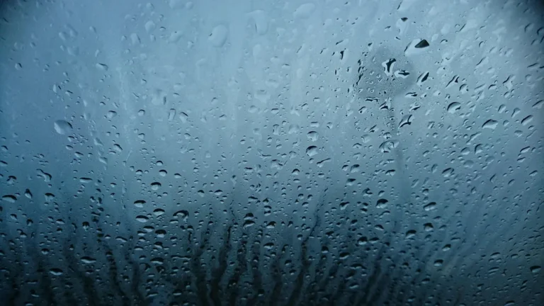 Condensation droplets on the inside of a cold car window