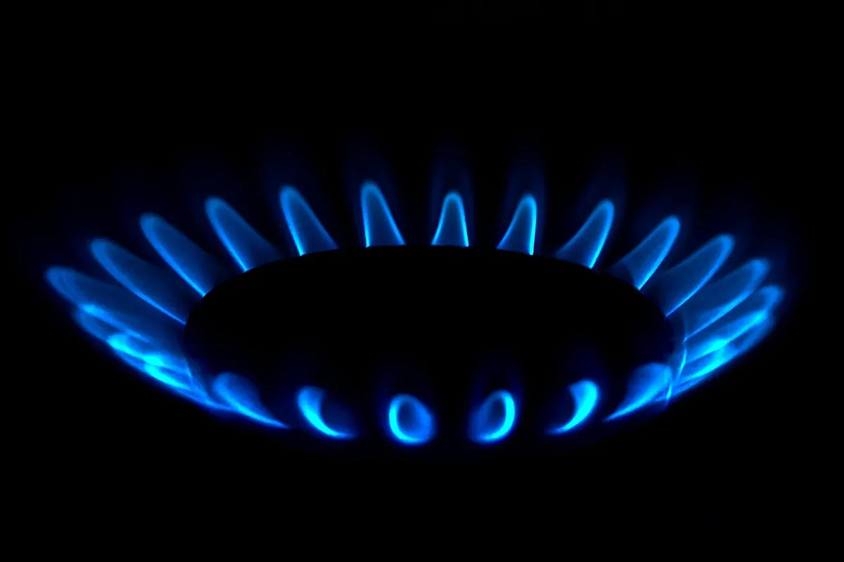 Blue flame of a gas stove burner on a dark background