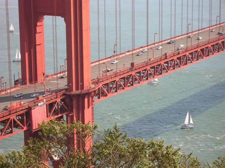Cars crossing the Golden Gate Bridge roadway seen from a hillside above the bay