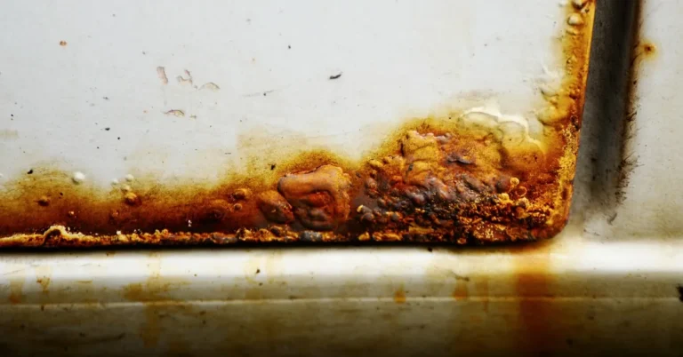 Rust bubbling through white paint along the lower edge of a car door panel