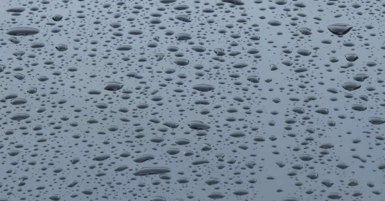 Water droplets on a dark glossy car paint surface