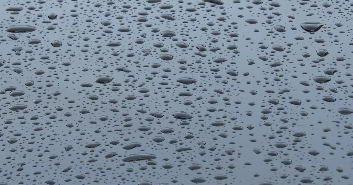 Water droplets on a dark glossy car paint surface