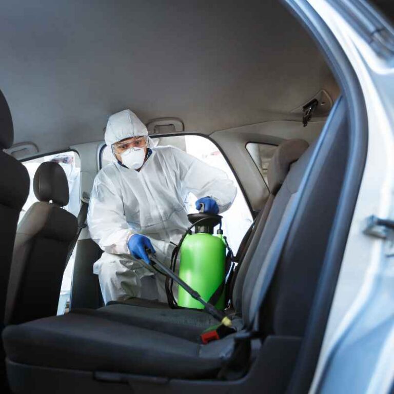 How To Remove Car Seats For Cleaning Like A Pro