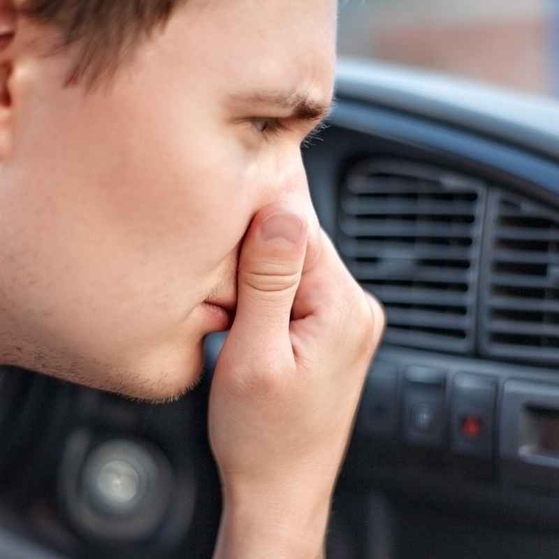 Understanding That Rotten Egg Smell